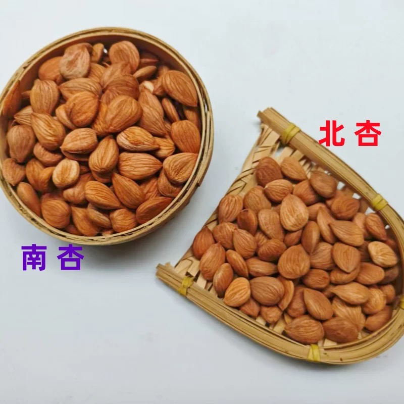 [SZNBX] Chinese Almond 南北杏