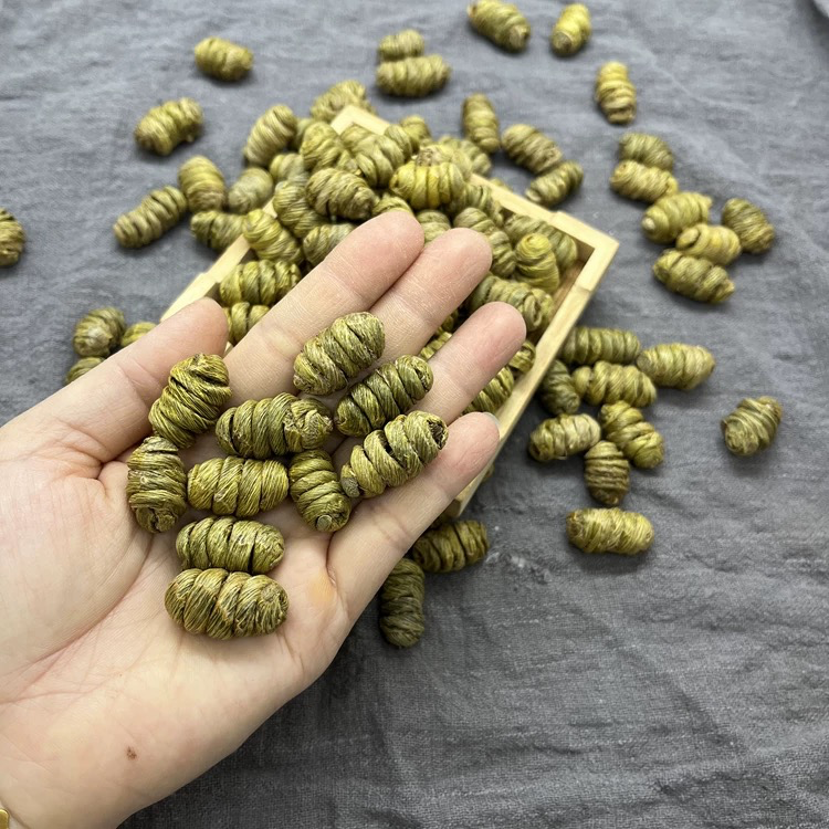 [SZTPSF] Dendrobium Officinale  铁皮石斛