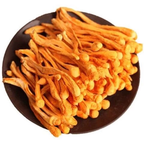 [SZQCH] Cordyceps Flower 虫草花